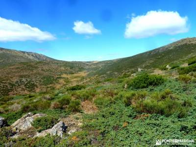 Hayedo Montejo-Cuerda Pinilla; viajes y excursiones viajes septiembre senderistas